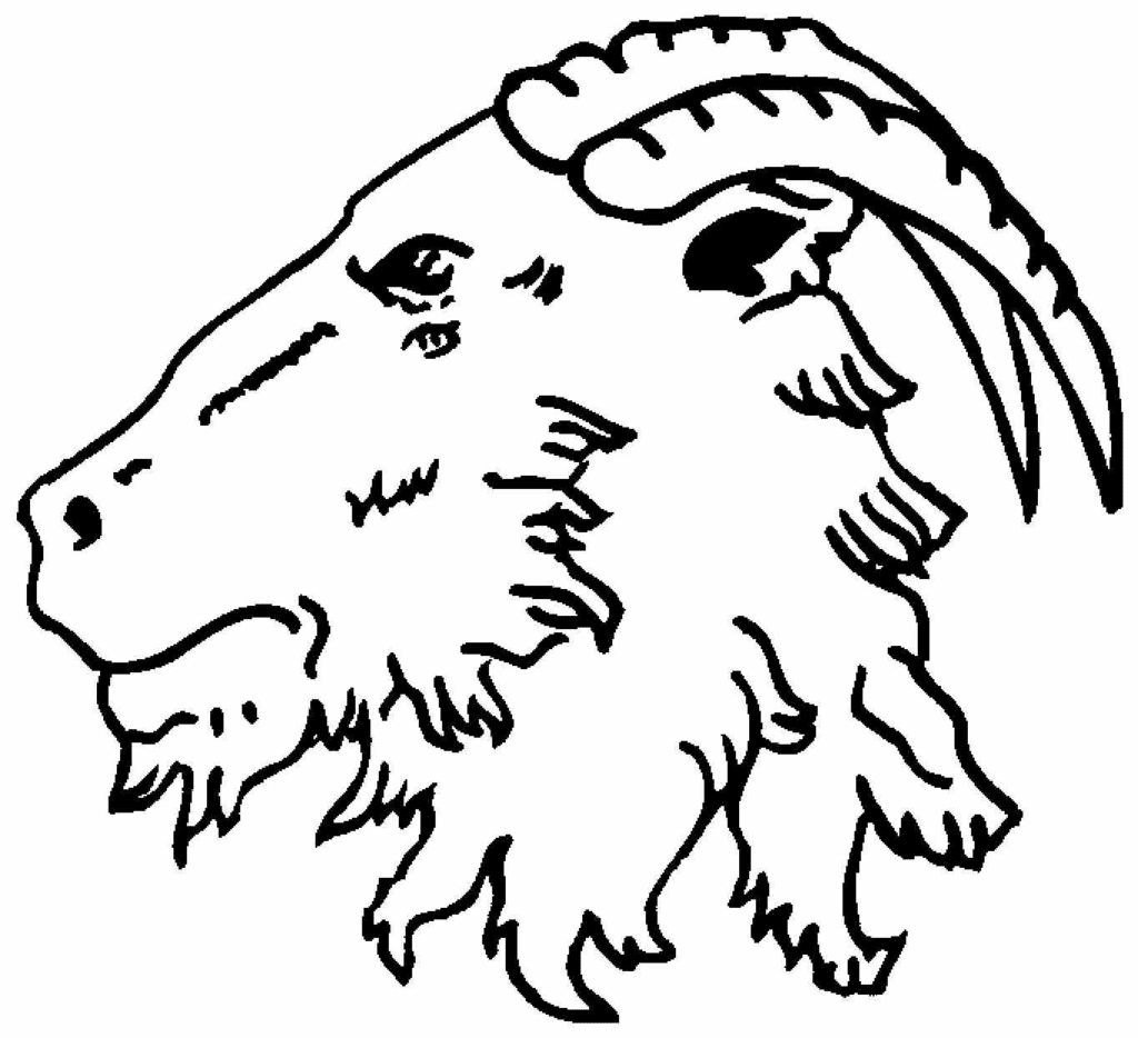 Biggar Rugby Football Club logo